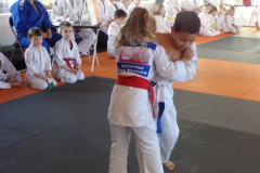 DSC00433