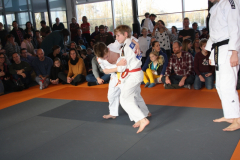 IMG_6626 - Copy